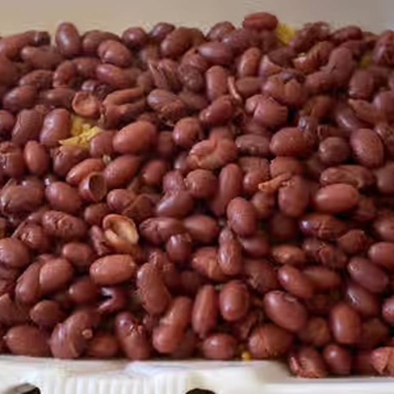 Soulful Red Beans and Rice Delights